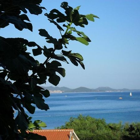 Studio Apartmani Krstina Sukošan Dış mekan fotoğraf